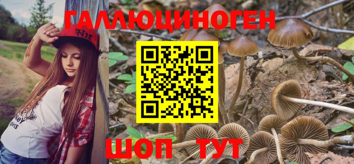 Химки  Псилоцибиновые грибы прущие грибы  Вход с VPN  Галлюциногенные грибы MAGIC MUSHROOMS 