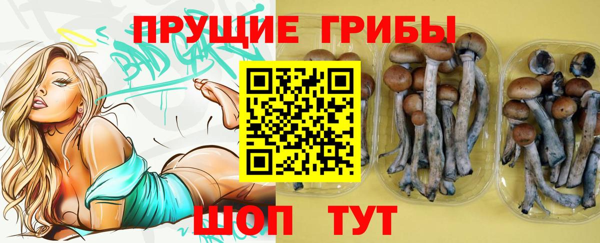 Галлюциногенные грибы MAGIC MUSHROOMS Химки